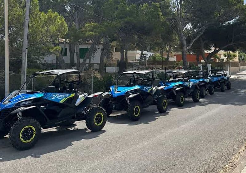 Paguera : 2 heures d'excursion en buggy