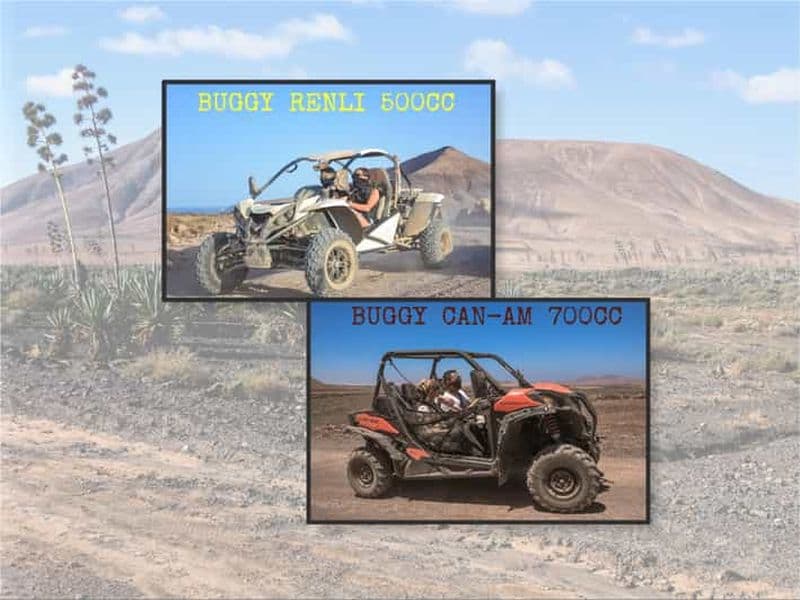 Fuerteventura : Excursion en buggy des dunes dans le nord de Fuerteventura