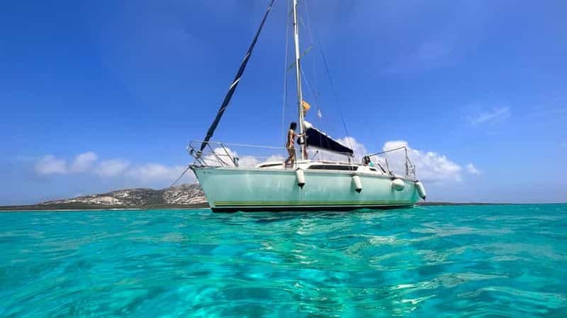 Asinara : Excursion d'une journée en bateau à voile à partir de Stintino