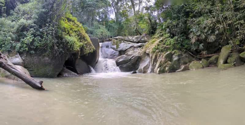 Minca, cascade et atelier de cacao + atelier de café