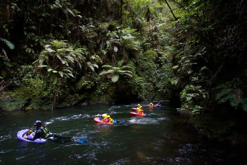 Rotorua Sledging : expérience de descente en bouée sur la rivière Kaituna
