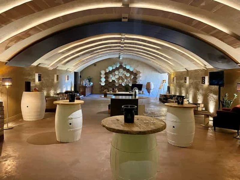 Gruissan : Visite guidée avec déjeuner et dégustation de vins