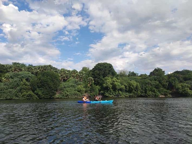 Billet Kayak dans les backwaters de Pondichéry