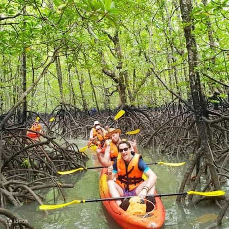 ZANZIBAR : Excursion en kayak dans la forêt de mangroves avec dégustation de fruits