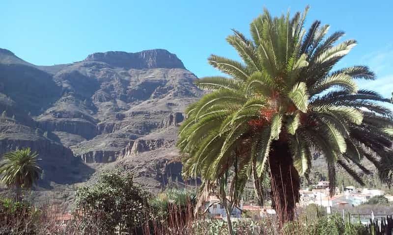 Billet Las Palmas : 8 heures d'excursion sur l'île de Gran Canaria