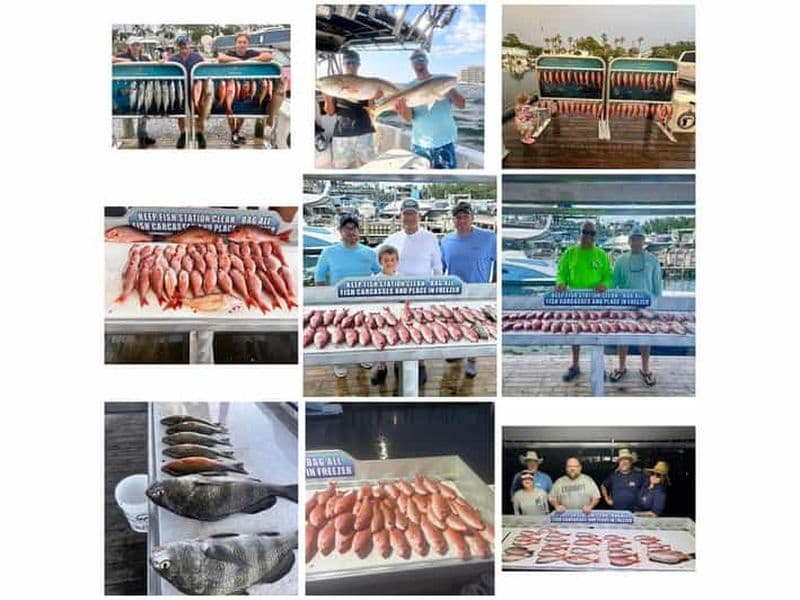 Destin : Have Fun Charters Expérience de pêche