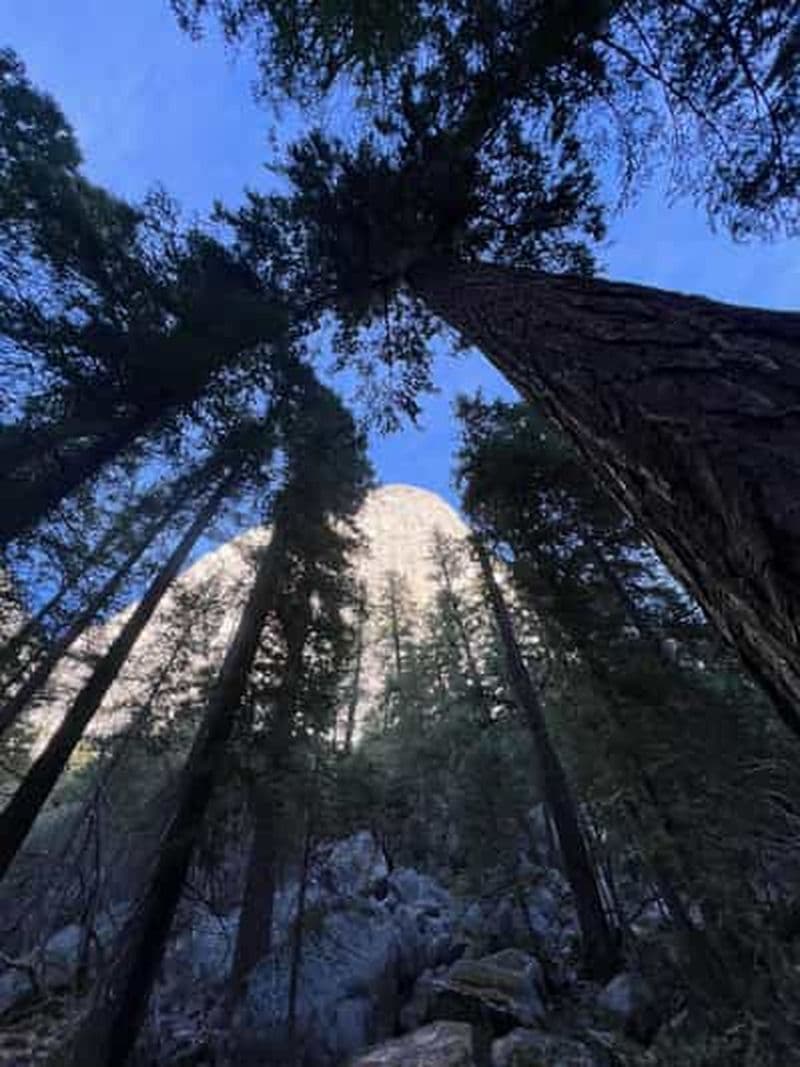 Excursion d'une journée dans le parc national de Yosemite pour max. 4 personnes au départ de SF.