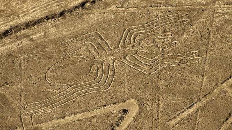De Nazca : Vol en petit avion au-dessus des lignes de Nazca