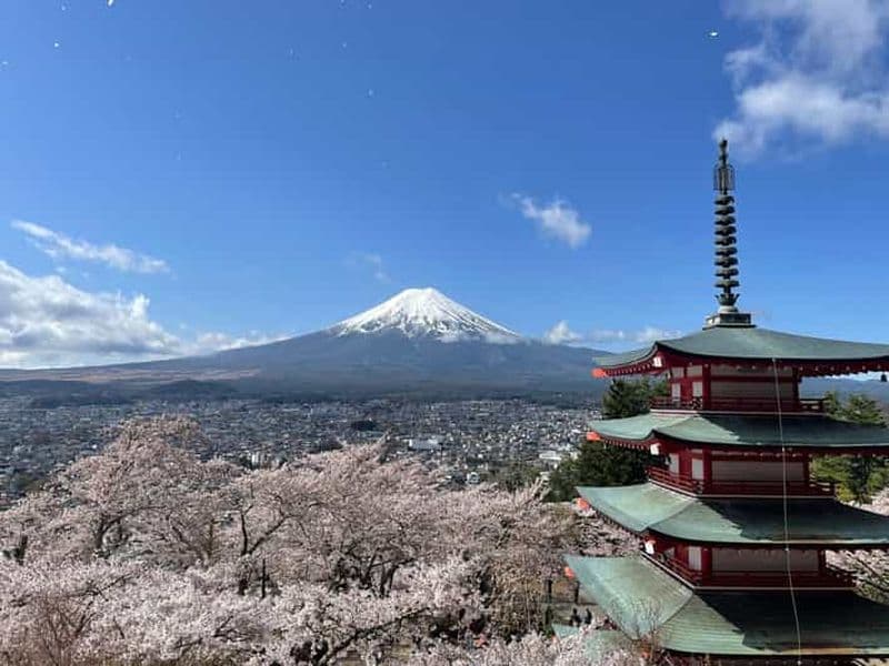 Le mont Fuji : nature et saveurs locales