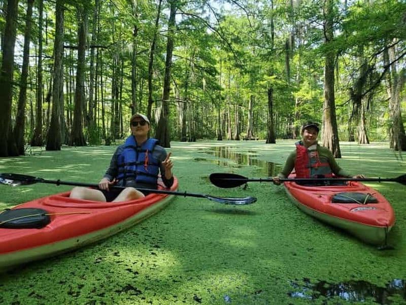 Bassin de l'Atchafalaya : 2.5 Hr. Visite guidée en kayak