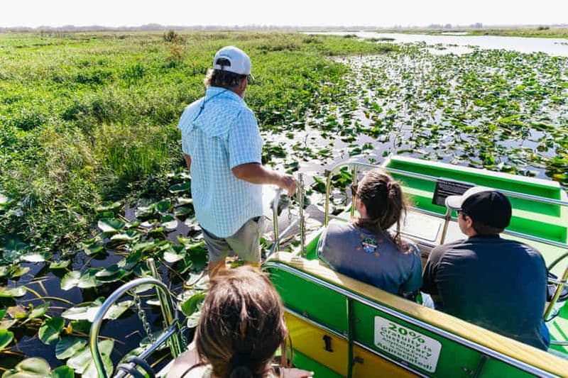 Orlando : visite des Everglades en hydroglisseur