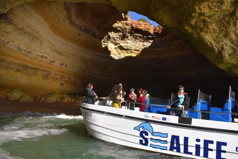 Depuis Lagos : Grotte de Benagil et croisière côtière en catamaran