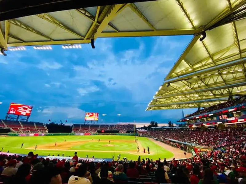 Billet Journée de match de baseball à Mexico - Diablos Rojos