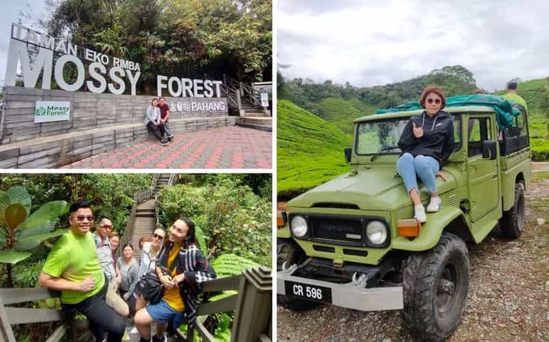 Depuis Kuala Lumpur : excursion en Jeep dans la forêt de Cameron Highlands