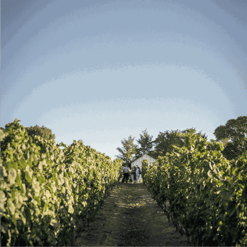 Montevideo : Croisière commentée pour les passagers de la croisière