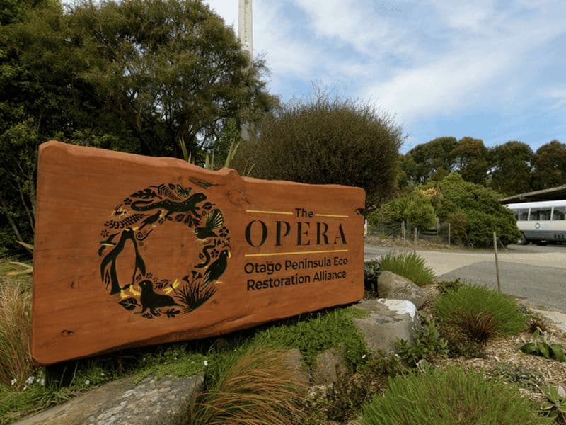 Dunedin : Visite de la faune et des pingouins