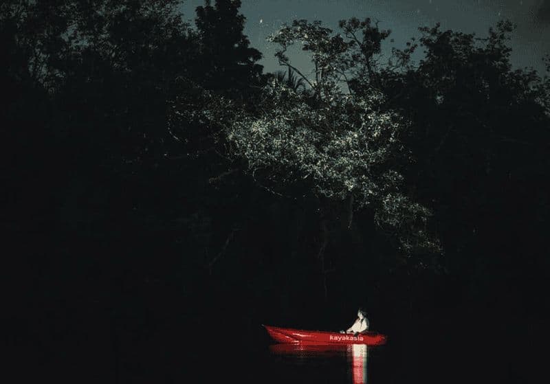 Bohol : excursion écologique en kayak sur la rivière Abatan à la découverte des lucioles