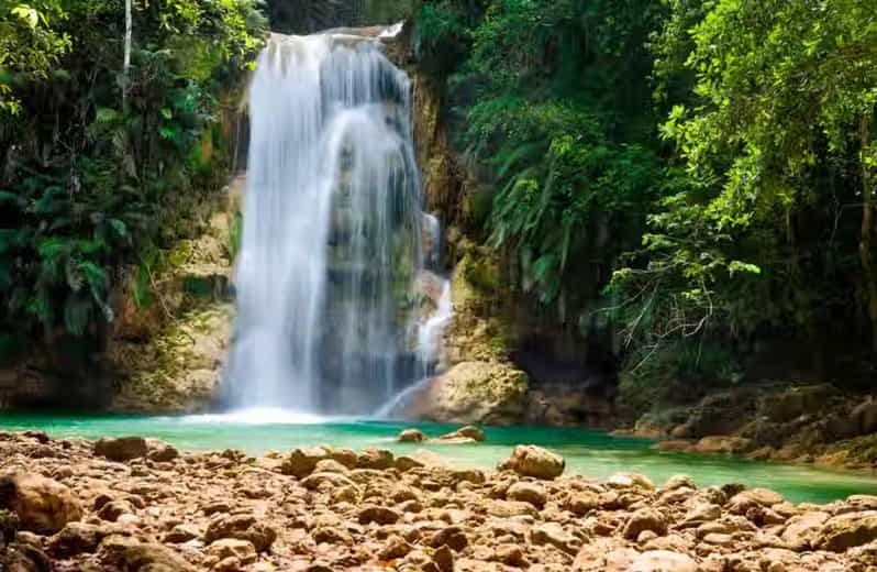 Punta Cana : Excursion d'une journée à Samaná avec randonnée à cheval et déjeuner
