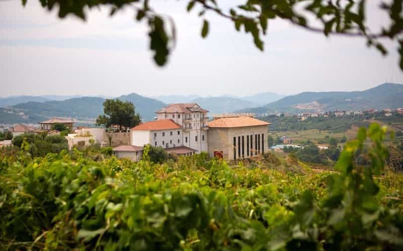 Billet Lundër : Visite guidée du vignoble de Lundra avec dégustation de vin