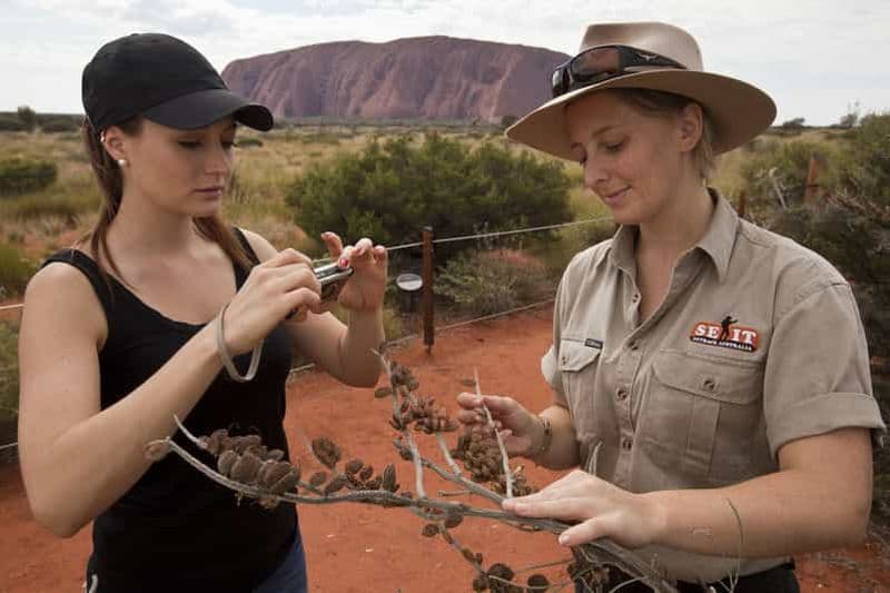 Billet Uluru : visite guidée en petit groupe avec rafraîchissements au coucher du soleil