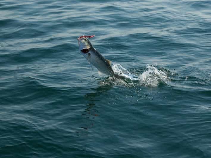 Excursion de pêche 4 heures
