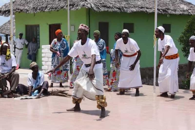 Pemba : visite d'une plantation de clous de girofle et spectacle de danse swahili