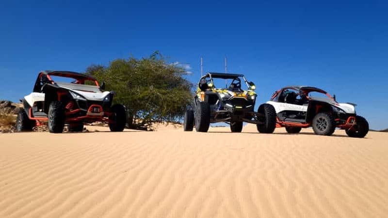 Billet Buggy dans les dunes de Wahiba Sands : une aventure d'une heure dans le désert