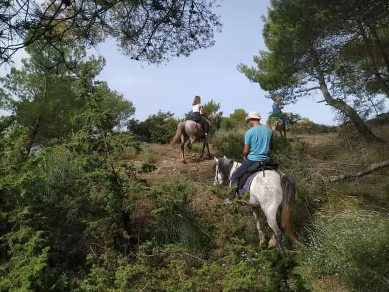 Billet Balade à cheval dans la campagne de Gjinofshat