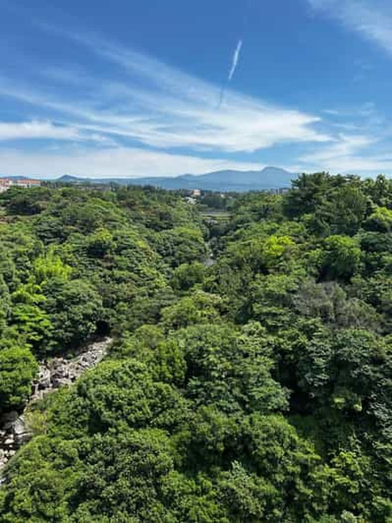 Visite à pied du quartier de Seogwipo Jungmun