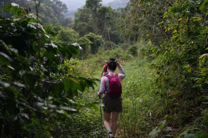 Depuis Antigua : visite guidée d'observation des oiseaux à Los Tarrales dans l'après-midi