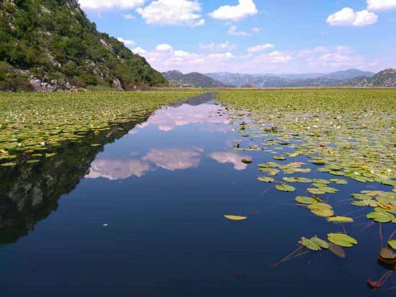 Kotor : Parc national du lac Skadar avec dégustation de vin