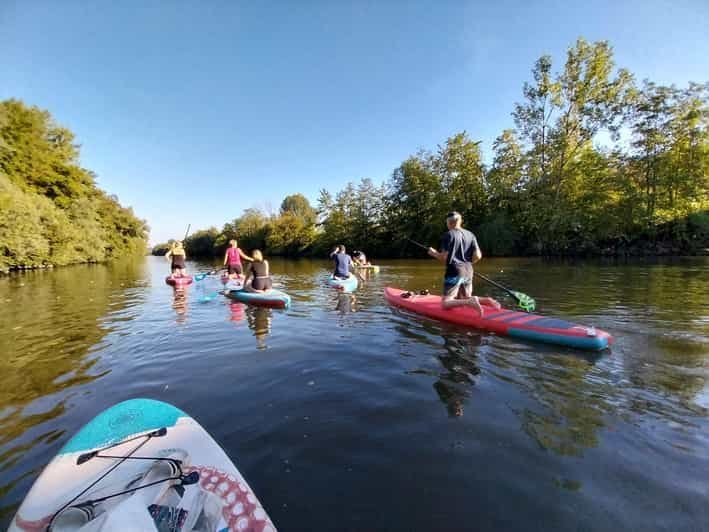 Tour de SUP : Vue sur les canaux d'Esslingen