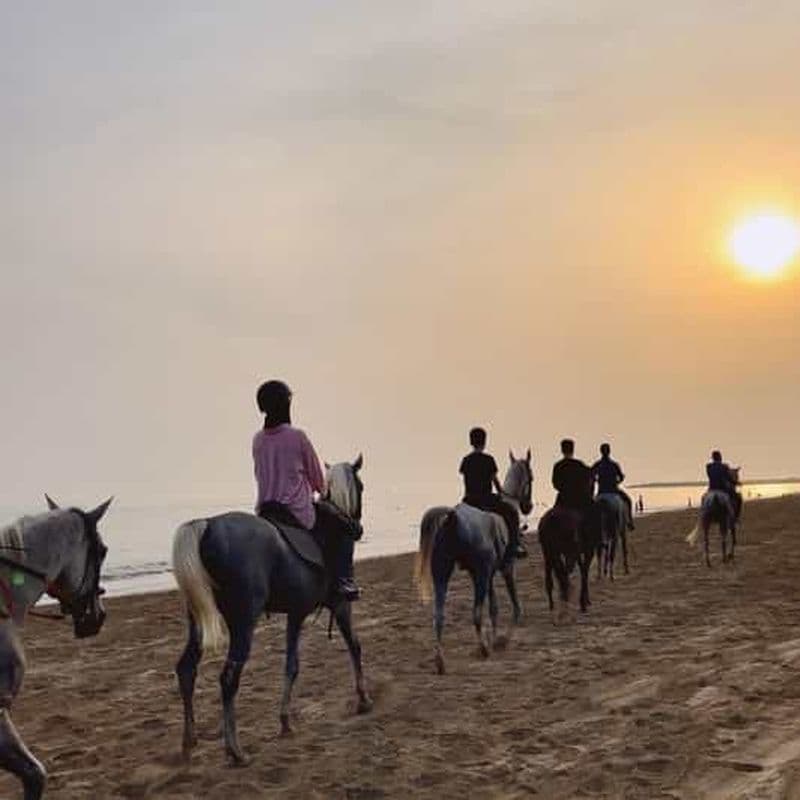 Équitation sur la plage de Mascate