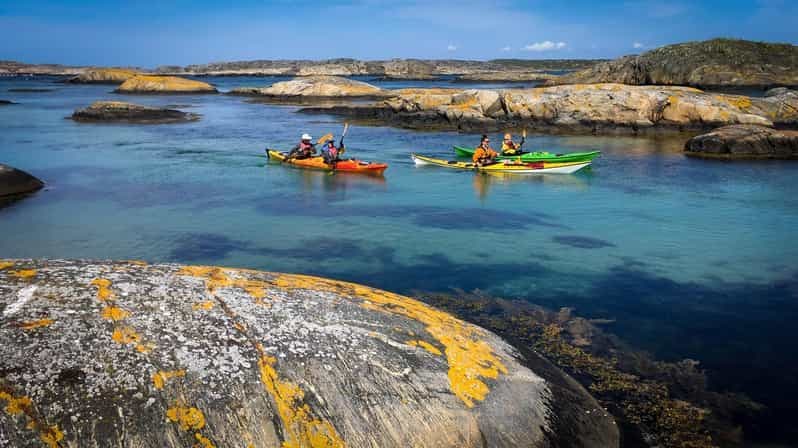 Ouest de la Suède : Excursion en kayak de mer pour la prise d'aujourd'hui
