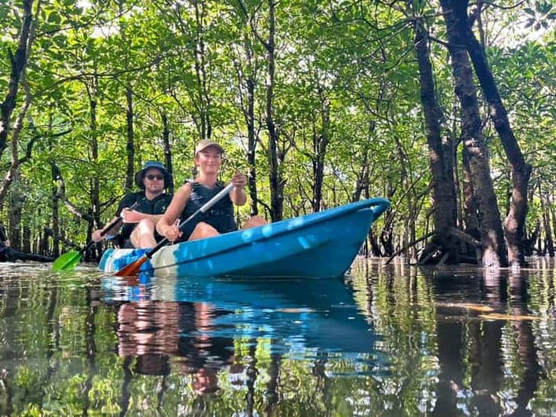 Billet Île d'Iriomote : excursion en SUP ou en canoë sur la rivière Mangrove