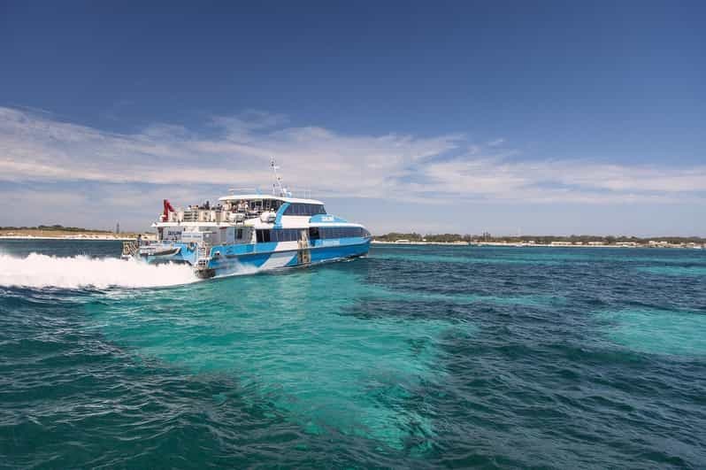 Depuis Perth ou Fremantle : Visite en bus et en ferry de l'île Rottnest