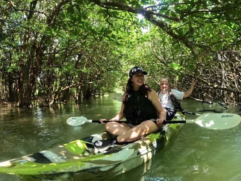Billet Île d'Ishigaki : excursion de 2 heures en SUP ou en canoë sur la rivière Miyara