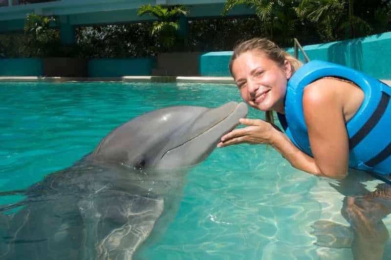 Cancún : Aquarium interactif - Nagez avec les dauphins Splash