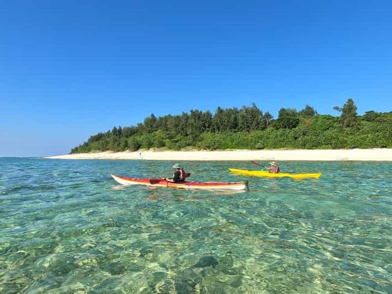 Billet Okinawa : excursion privée en kayak dans les mangroves et l'océan, en anglais