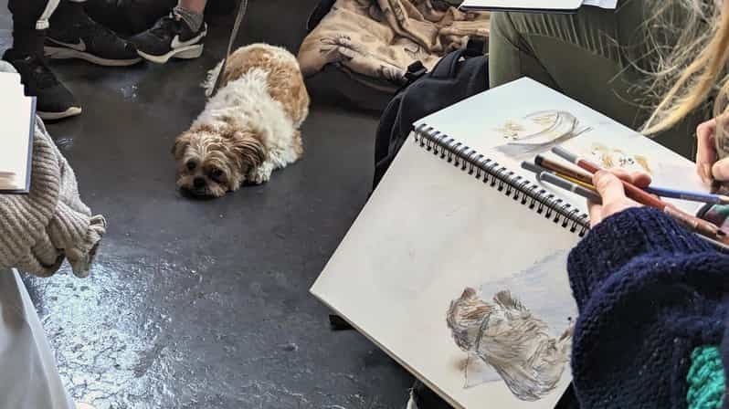 Billet Bristol : Dessin de la vie d'un chien par l'artiste local Cai Burton