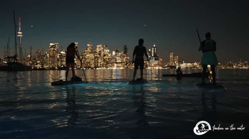 Safari au coucher du soleil