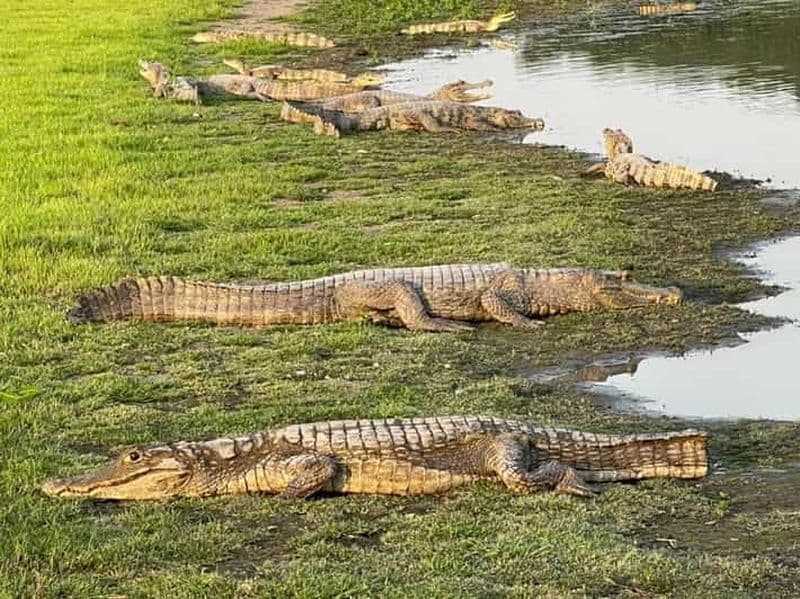 Visite privée de la Colombie en safari animalier 4J-3N