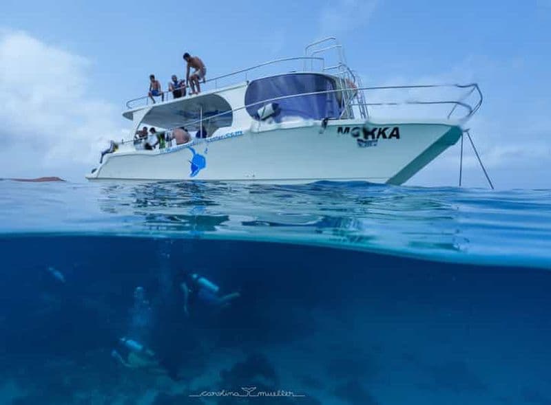 Muscat : excursion de plongée avec tuba aux îles Daymaniyat avec déjeuner barbecue