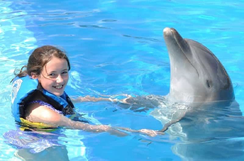 Cancún : rencontre avec les dauphins à Isla Mujeres avec buffet