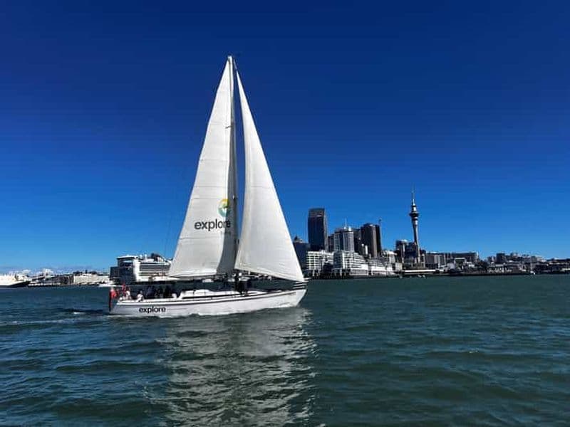 Croisière d'une heure et demie dans le port d'Auckland