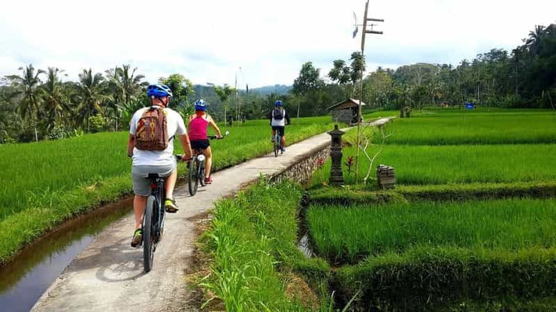Ubud : visite d'une demi-journée à vélo électrique à Tegallalang