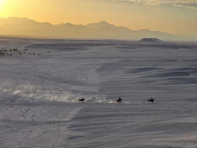 Hurghada : Randonnée à cheval, dîner barbecue et observation des étoiles