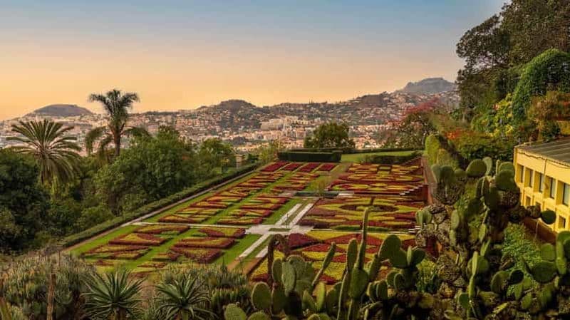 Funchal : visite guidée de la vieille ville en tuk tuk et des jardins botaniques