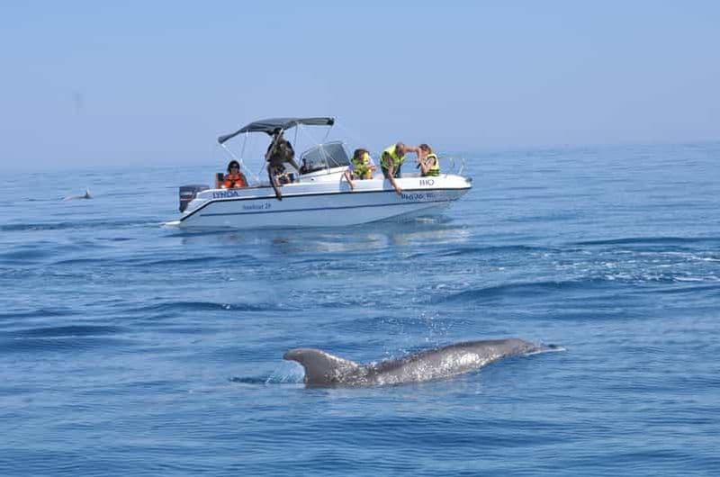 Visite guidée pour l'observation des dauphins et les tours en bateau sur les plages isolées