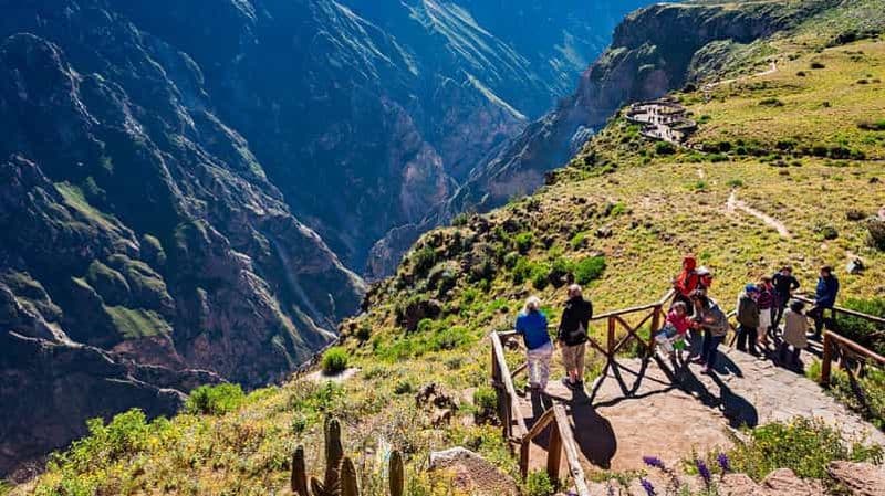 Billet Depuis Arequipa : Visite d'une jounée du Canyon de Colca avec petit déjeuner